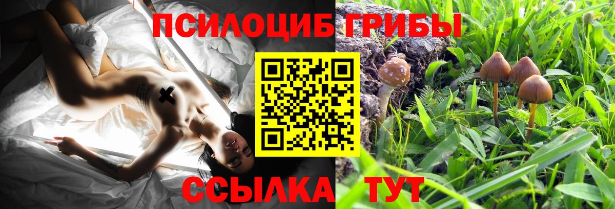Усолье-Сибирское  Псилоцибиновые грибы Psilocybe  Вход с VPN 