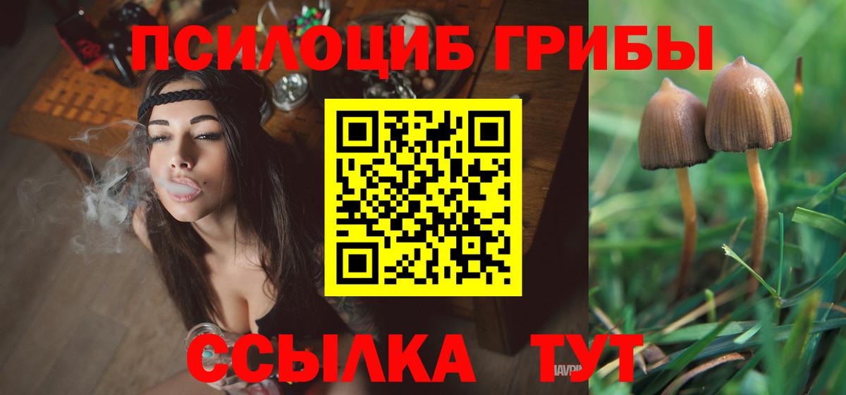 Псилоцибиновые грибы GOLDEN TEACHER Усолье-Сибирское